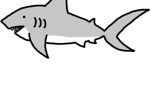 Акула рисунок легкий