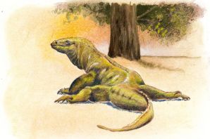 Рептилии рисунок