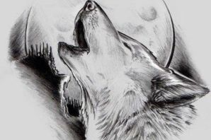 Волчица эскиз
