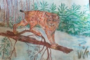 Рисунок тайги легкий