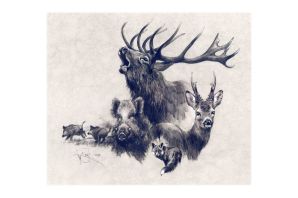 Рисунок лось в лесу