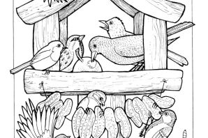 Кормушка раскраска