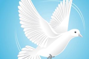 Голубка рисунок