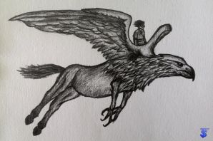 Клювокрыл рисунок