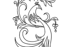 Жар птица рисунок