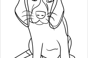 Раскраска лабрадор