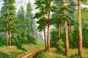 Сосновый лес рисунок