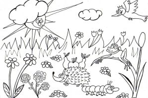 Раскраска луг