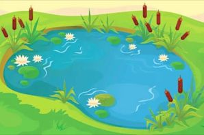 Болото рисунок