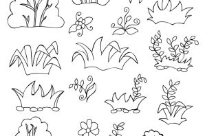 Куст раскраска