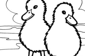 Балапан раскраска