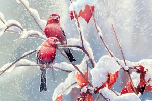 Декабрь рисунок