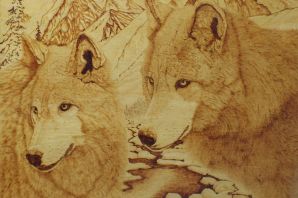 Выжег рисунок