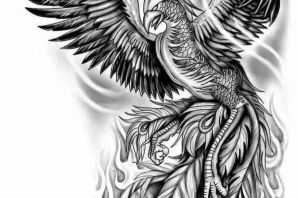 Эскиз феникс