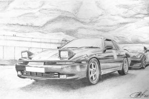 Рисунок супры