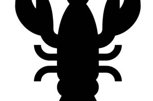 Трафарет рак