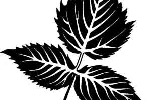 Листок трафарет