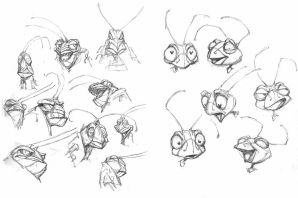 Скетчи насекомых