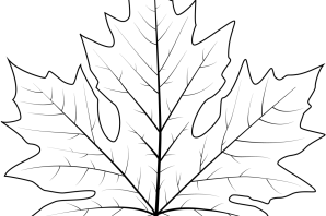 Листок клена трафарет