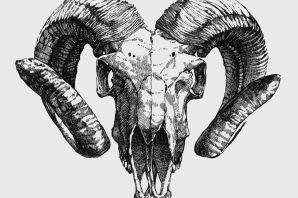 Череп козла эскиз