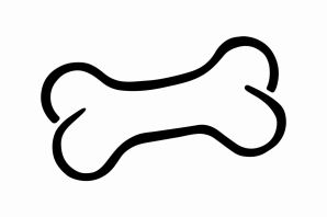 Кость раскраска