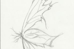 Крылья феи рисунок