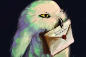 Букля сова рисунок