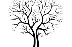 Силуэт дерева рисунок