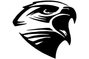 Сокол рисунок