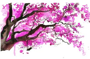 Сакура нарисованная