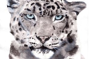 Белый барс рисунок