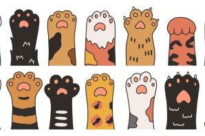 Лапа раскраска