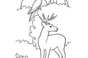 Адам и ева раскраска