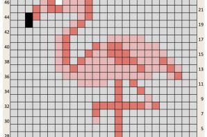 Курица по клеточкам