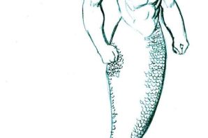 Амфибия рисунки