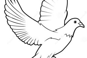 Голубь мира рисунок
