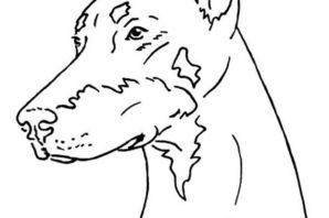 Собака боком рисунок