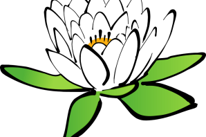 Кувшинка рисунок