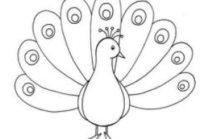 Раскраска павлина