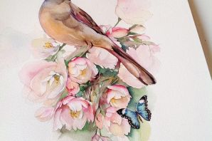 Зарисовки птиц