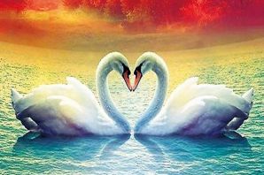 Лебеди рисунки