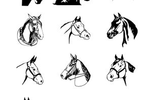 Конкур раскраска