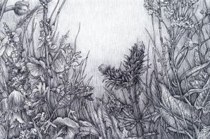 Дюрер рисунки