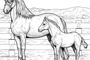 Раскраски лошадка