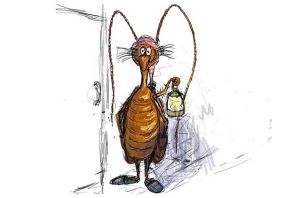 Таракан эскиз