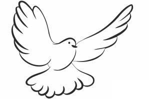 Раскраска голубя