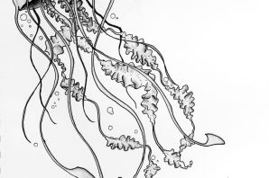 Медуза эскиз