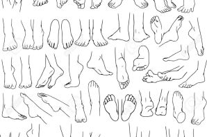 Рисунок ступни