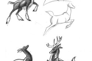 Рисунок лани