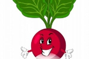 Рисунок свеклы